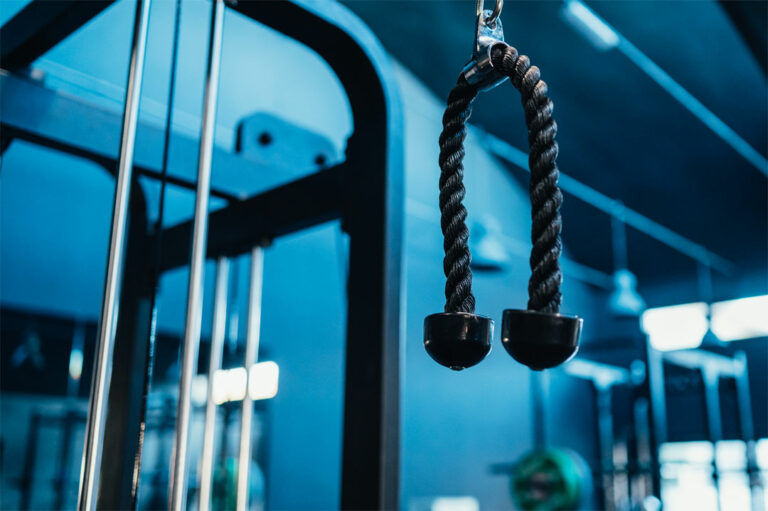 palestra riccione zero100